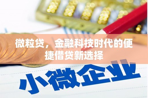 瀍河微粒贷，金融科技时代的便捷借贷新选择