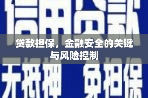 瀍河贷款担保，金融安全的关键与风险控制