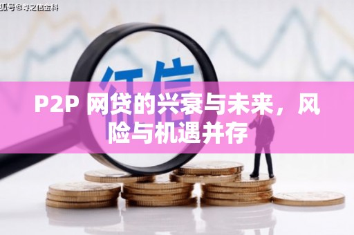 瀍河P2P 网贷的兴衰与未来，风险与机遇并存
