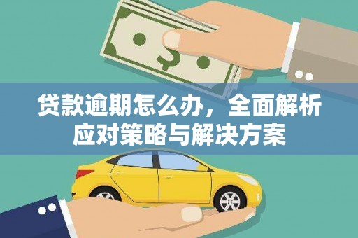 瀍河贷款逾期怎么办，全面解析应对策略与解决方案