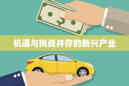 瀍河机遇与挑战并存的新兴产业