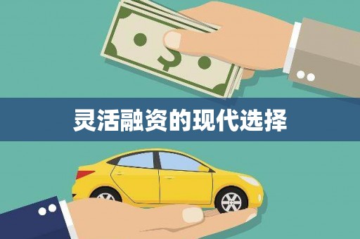 瀍河灵活融资的现代选择