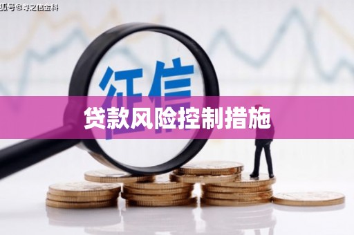 瀍河贷款风险控制措施