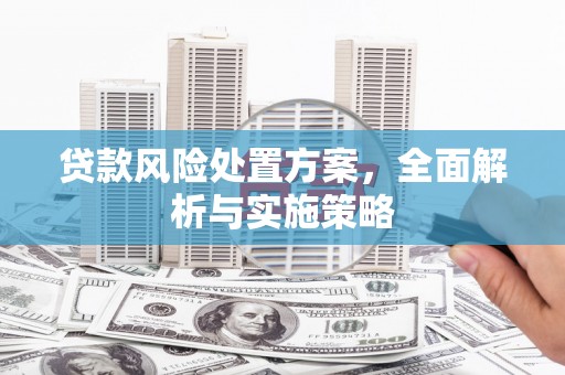 瀍河贷款风险处置方案，全面解析与实施策略