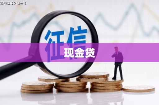 瀍河现金贷