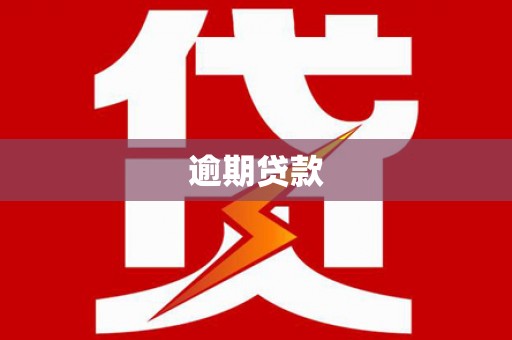 瀍河逾期贷款